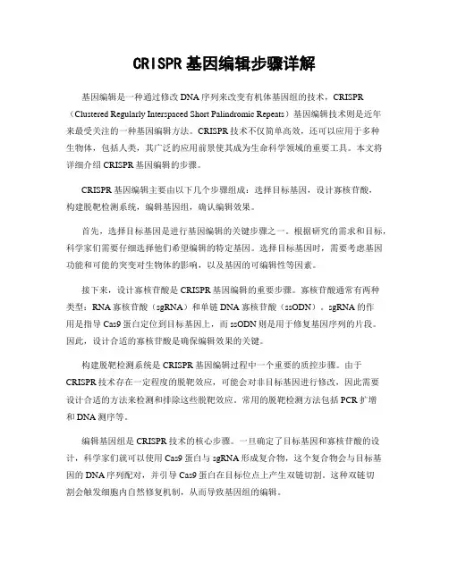 CRISPR基因编辑步骤详解