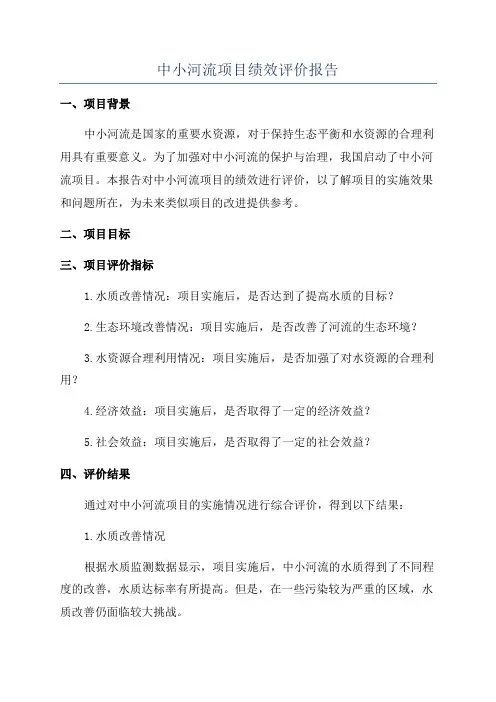 中小河流项目绩效评价报告