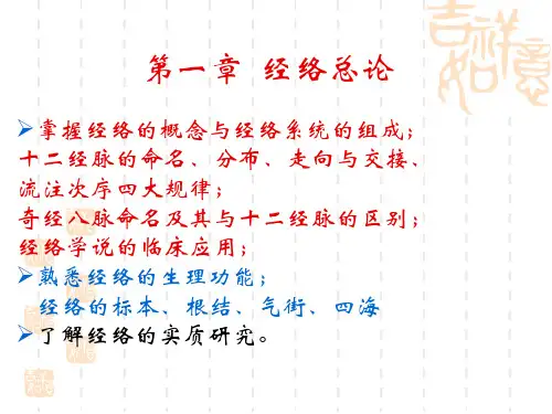经络总论