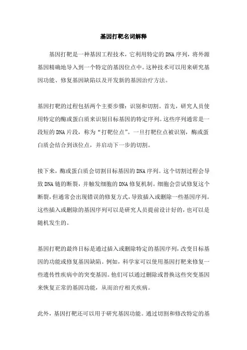 基因打靶名词解释