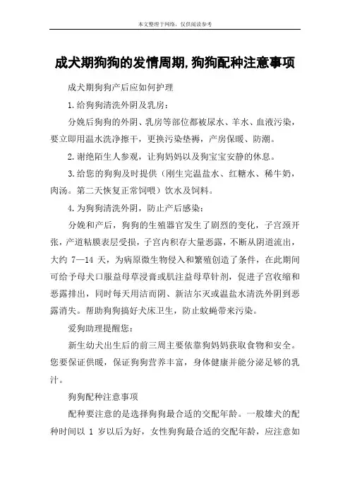 成犬期狗狗的发情周期,狗狗配种注意事项