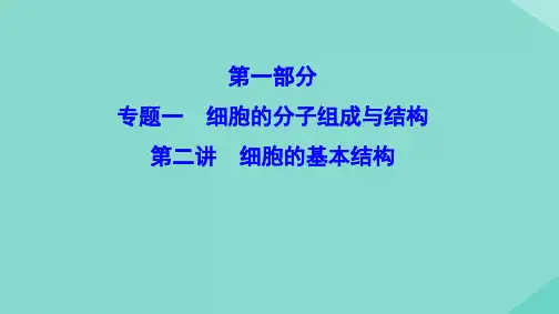 新课标高考生物二轮总复习专题一细胞的分子组成与结构1.1.2细胞的基本结构课件02100630