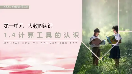 《计算工具的认识》课件