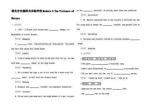 高三英语一轮总复习 Module 3 The Violence of