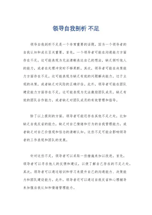 领导自我剖析 不足