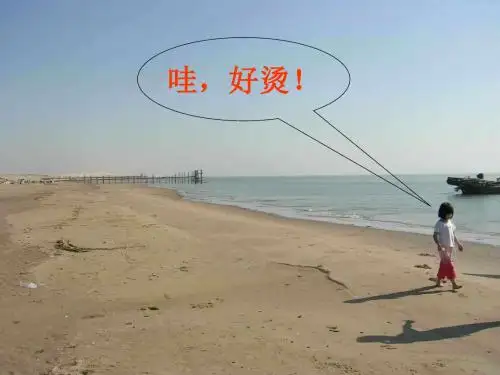 沪科版物理九年级13.2比热容复习课件.ppt