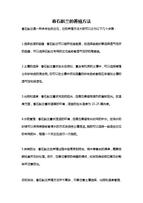 春石斛兰的养殖方法