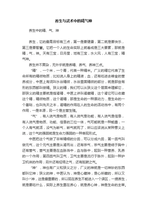 养生与武术中的精气神