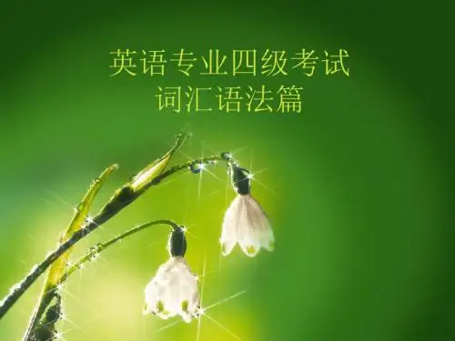 1英语专业四级词汇语法辅导--从句