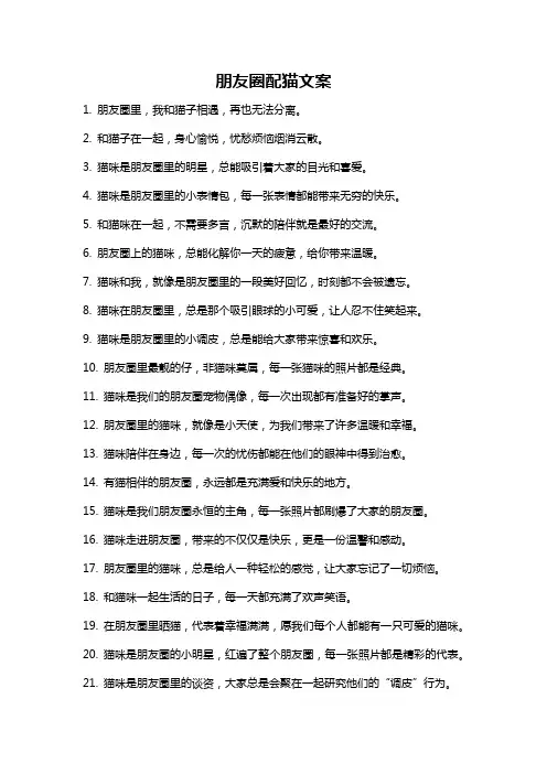 朋友圈配猫文案