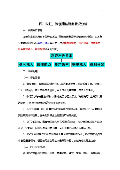 案例解析-四川长虹案例解析