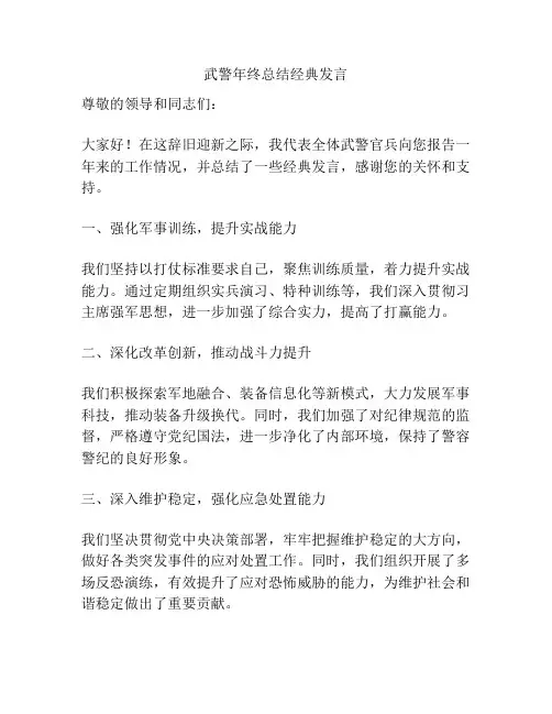 武警年终总结经典发言