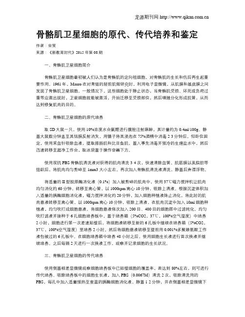 骨骼肌卫星细胞的原代、传代培养和鉴定