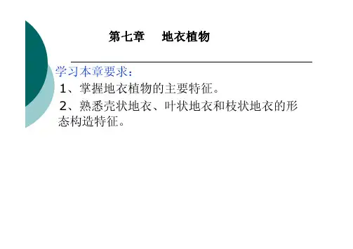 7第七章 地衣