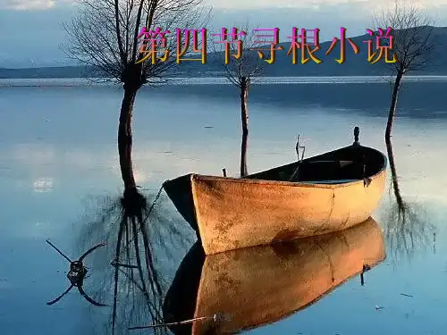 (整理)第四节寻根小说.ppt