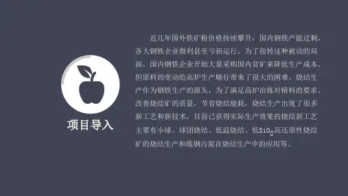 烧结与团球操作烧结新技术课件