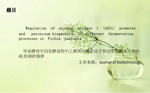 毕赤酵母发酵 ppt课件