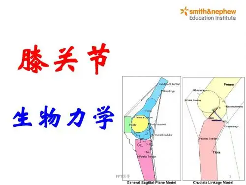 膝关节生物力学  ppt课件
