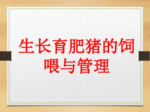生长育肥猪的饲养管理
