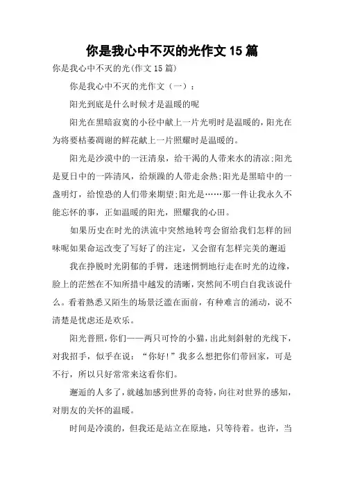你是我心中不灭的光作文15篇