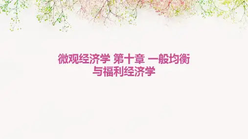 微观经济学 第十章 一般均衡与福利经济学