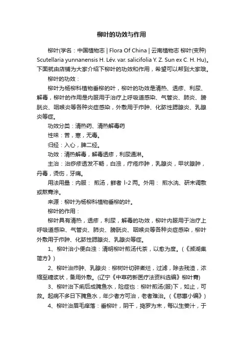 柳叶的功效与作用