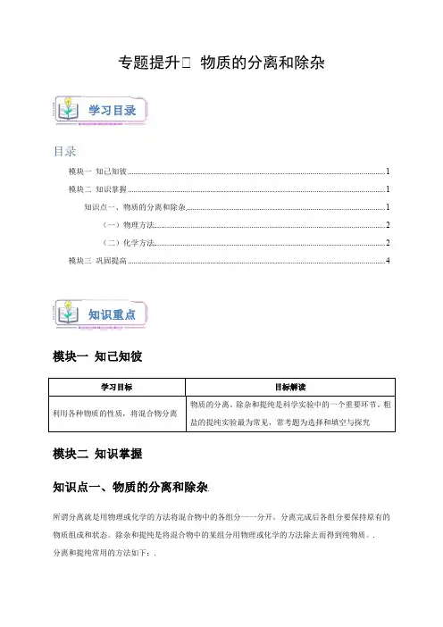专题提升Ⅳ物质的分离和除杂(原卷版)