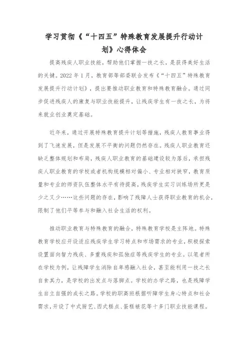 学习贯彻《“十四五”特殊教育发展提升行动计划》心得体会
