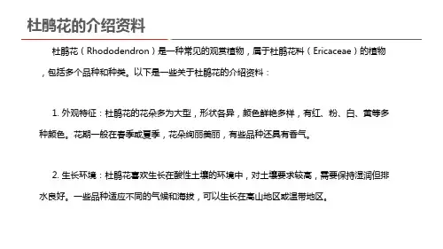 杜鹃花的介绍资料