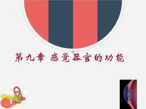 《生理学》第九章-感觉器官的功能