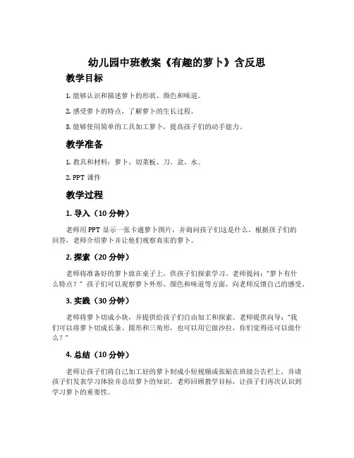 幼儿园中班教案《有趣的萝卜》含反思