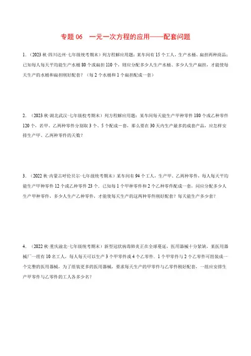 专题06 一元一次方程的应用——配套问题(应用题专项训练)(沪科版)(原卷版)-2024-2025学