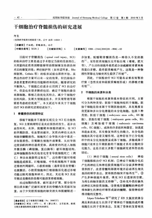 干细胞治疗脊髓损伤的研究进展