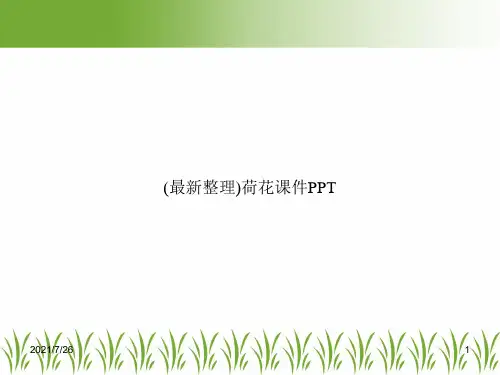 (最新整理)荷花课件PPT