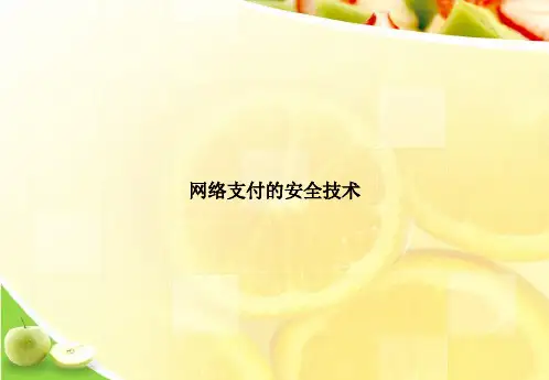 网络支付的安全技术ppt文档