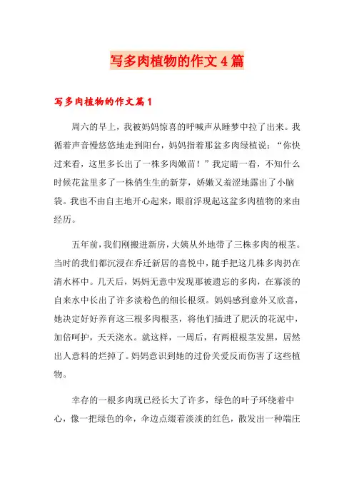 写多肉植物的作文4篇