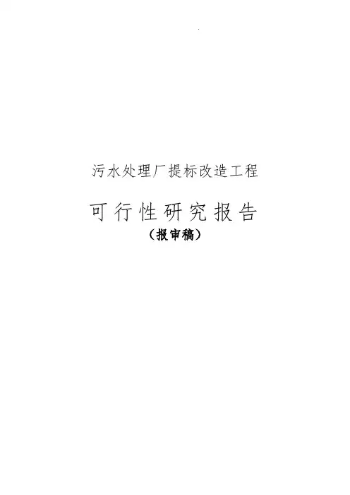 污水处理提标改造工程可行性实施报告