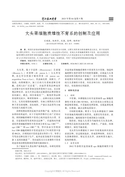 大头菜细胞质雄性不育系的创制及应用