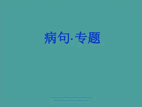 最新病句专题ppt课件