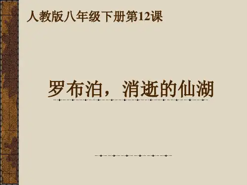 罗布泊PPT课件