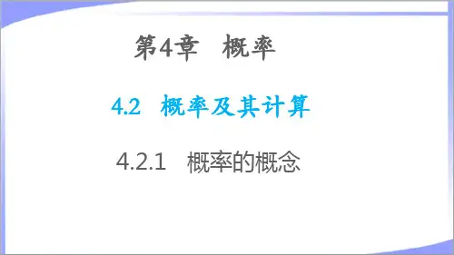2023年湘教版九年级数学下册第4章概率4.2概率及其计算4.2.1概率的概念 教学课件