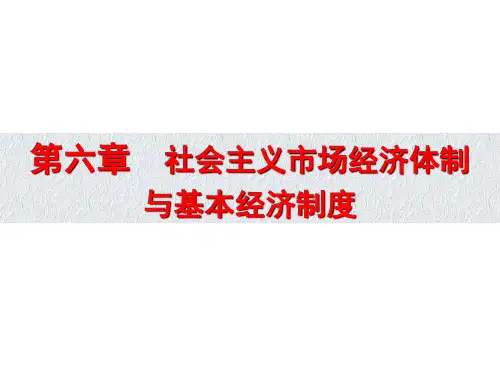 6第六章  社会主义市场经济体制与基本经济制度