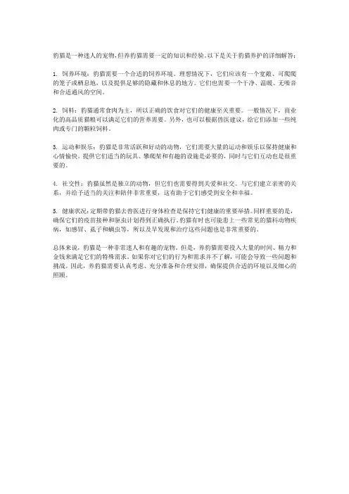 豹猫好养吗