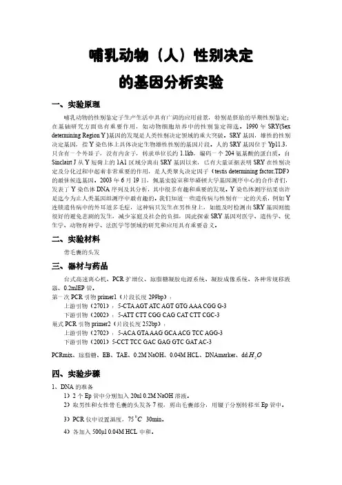 哺乳动物(人)性别决定基因实验