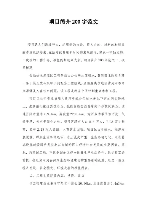 项目简介200字范文