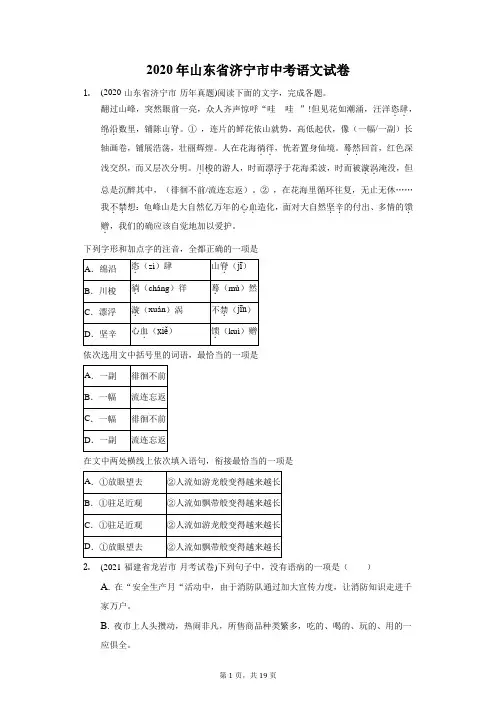 2020年山东省济宁市中考语文试卷(附答案详解)