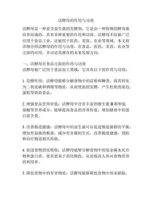 活酵母的作用与功效