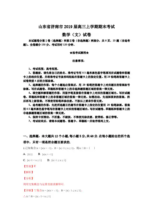 山东省济南市2019届高三上学期期末考试数学(文)试卷