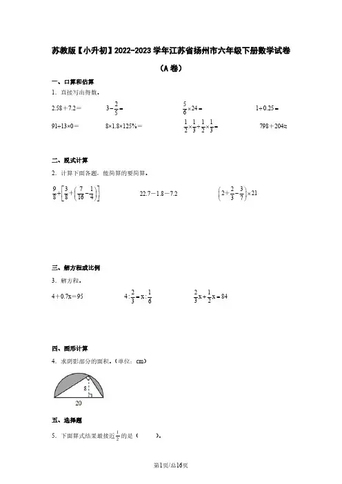 苏教版【小升初】2022-2023学年江苏省扬州市六年级下册数学试卷(A卷)含解析