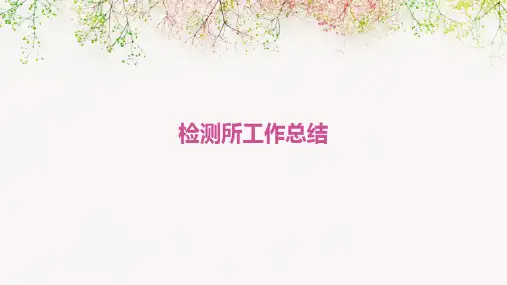 检测所工作总结PPT